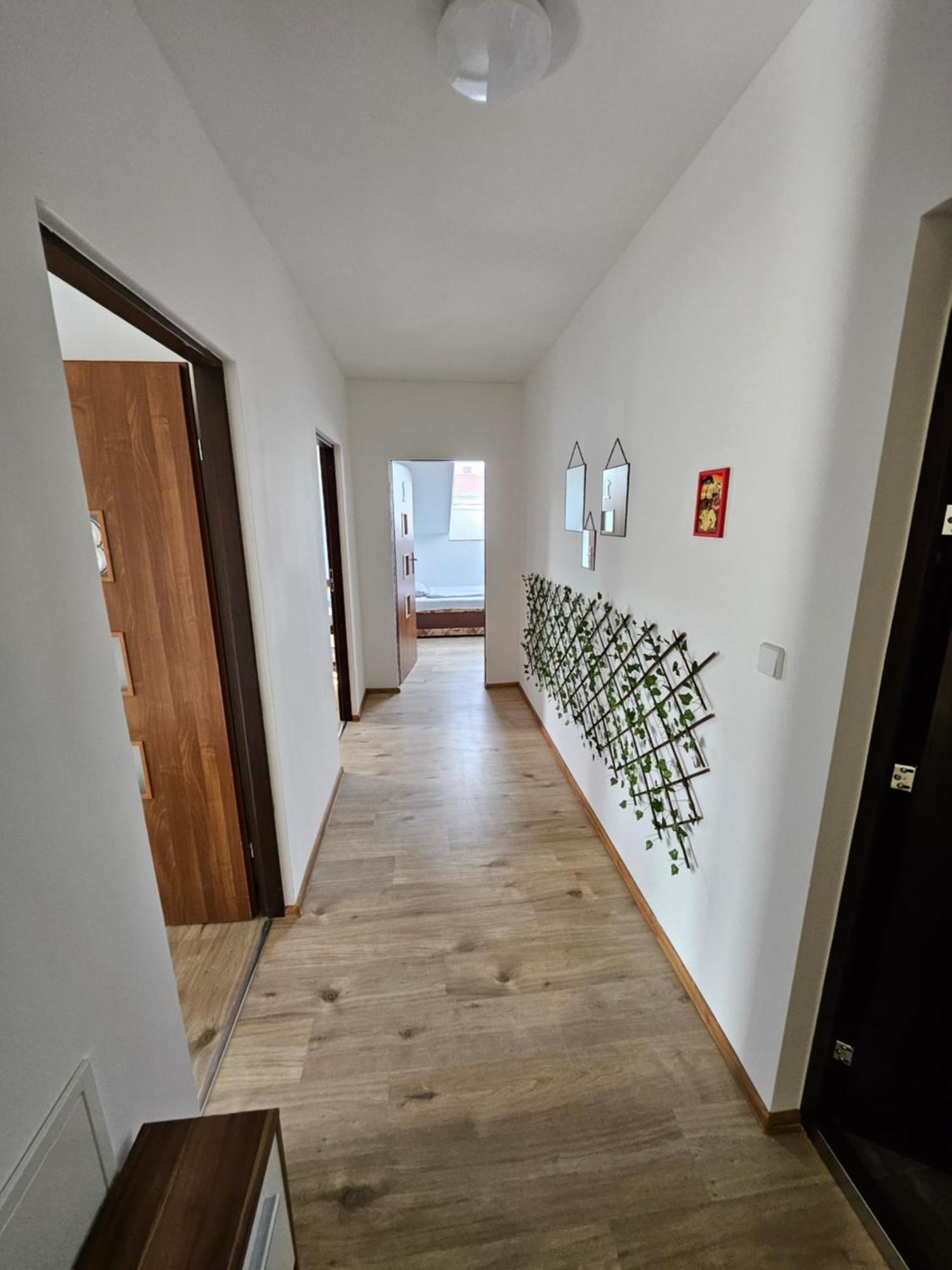 Wohngemeinschaft- Einzelne Zimmer Dresden Ngoại thất bức ảnh