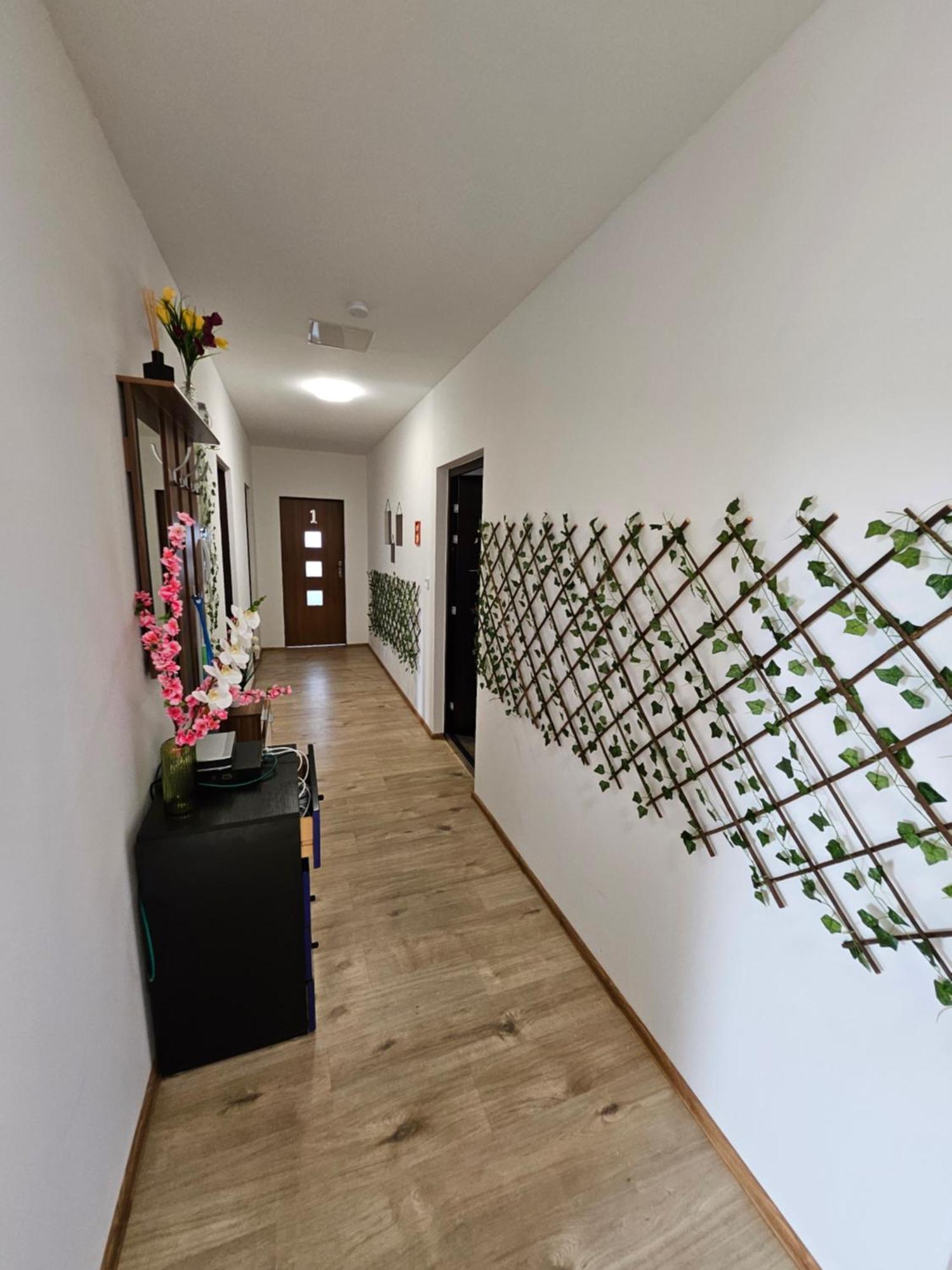Wohngemeinschaft- Einzelne Zimmer Dresden Ngoại thất bức ảnh